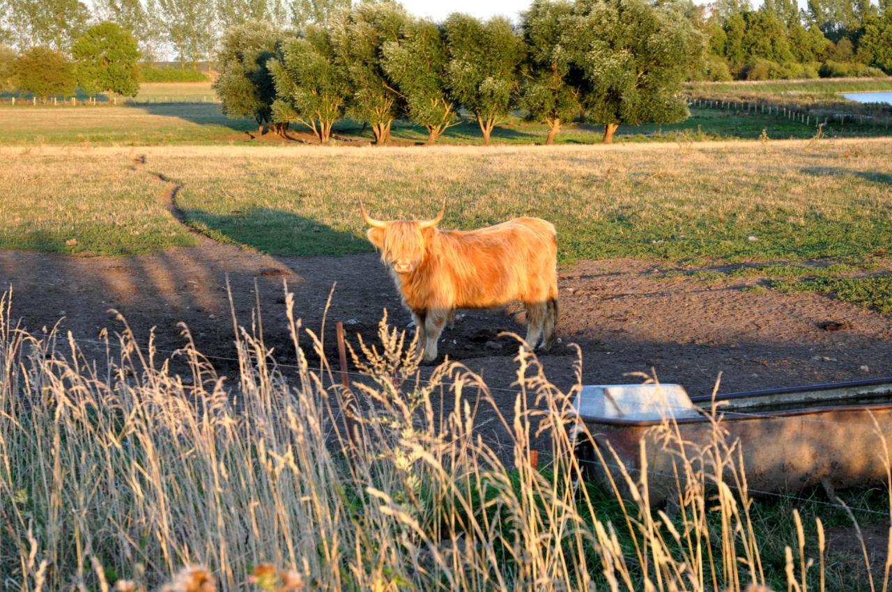 Battin 44 Uckermark * Brussow