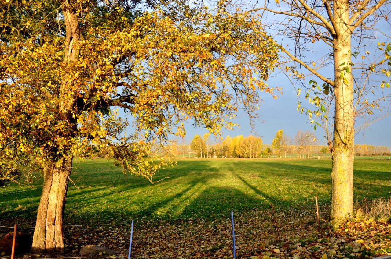 Battin 44 Uckermark *
